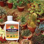 18011_HH Succulent 8 oz  lifestyle image